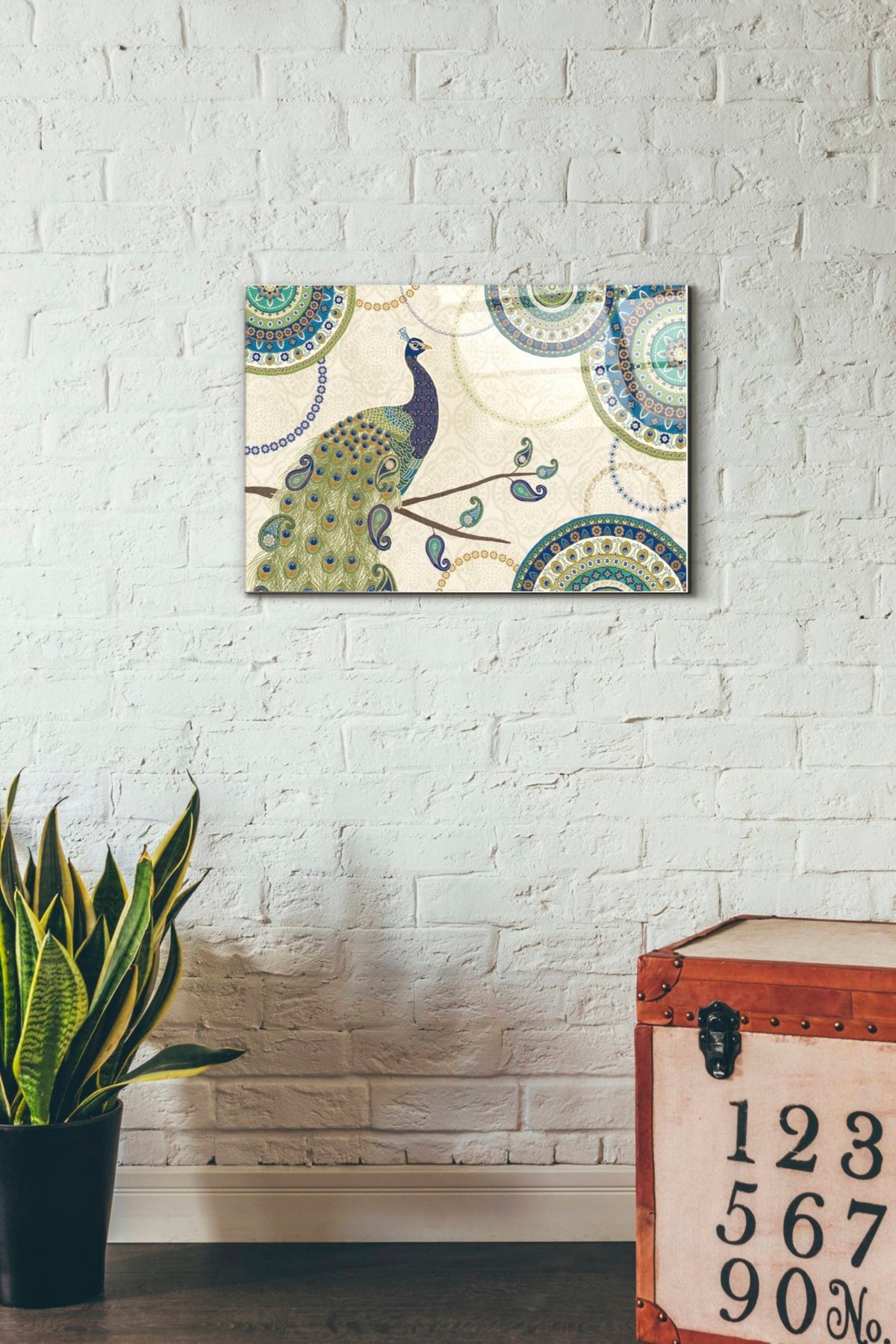 Epic Art 'Peacock Paradise I' by Veronique Charron, Acrylic Glass Wall Art,16x24