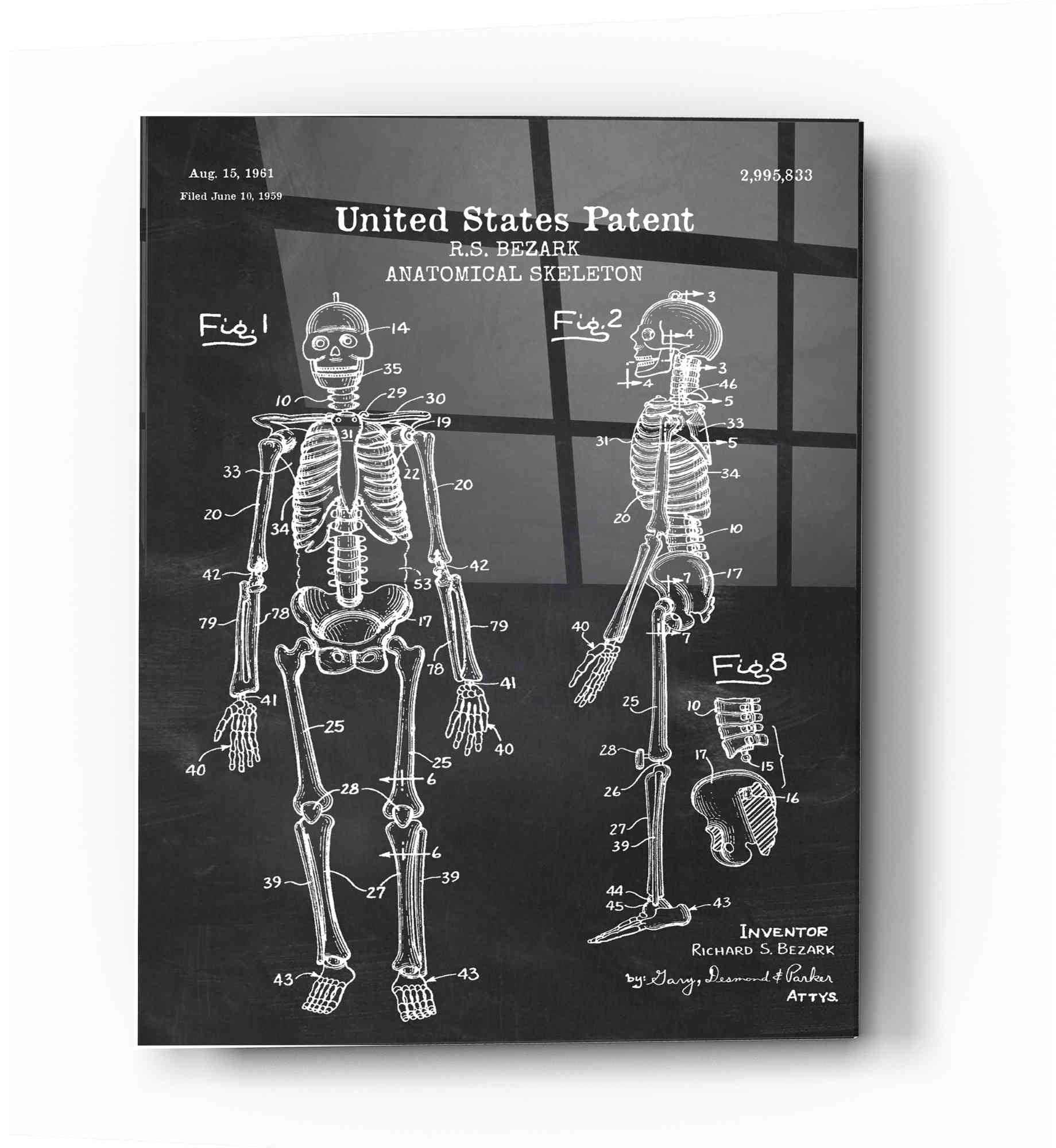 Epic Art 'Anatomical Skeleton Blueprint Patent Chalkboard' Acrylic Glass Wall Art,16x24