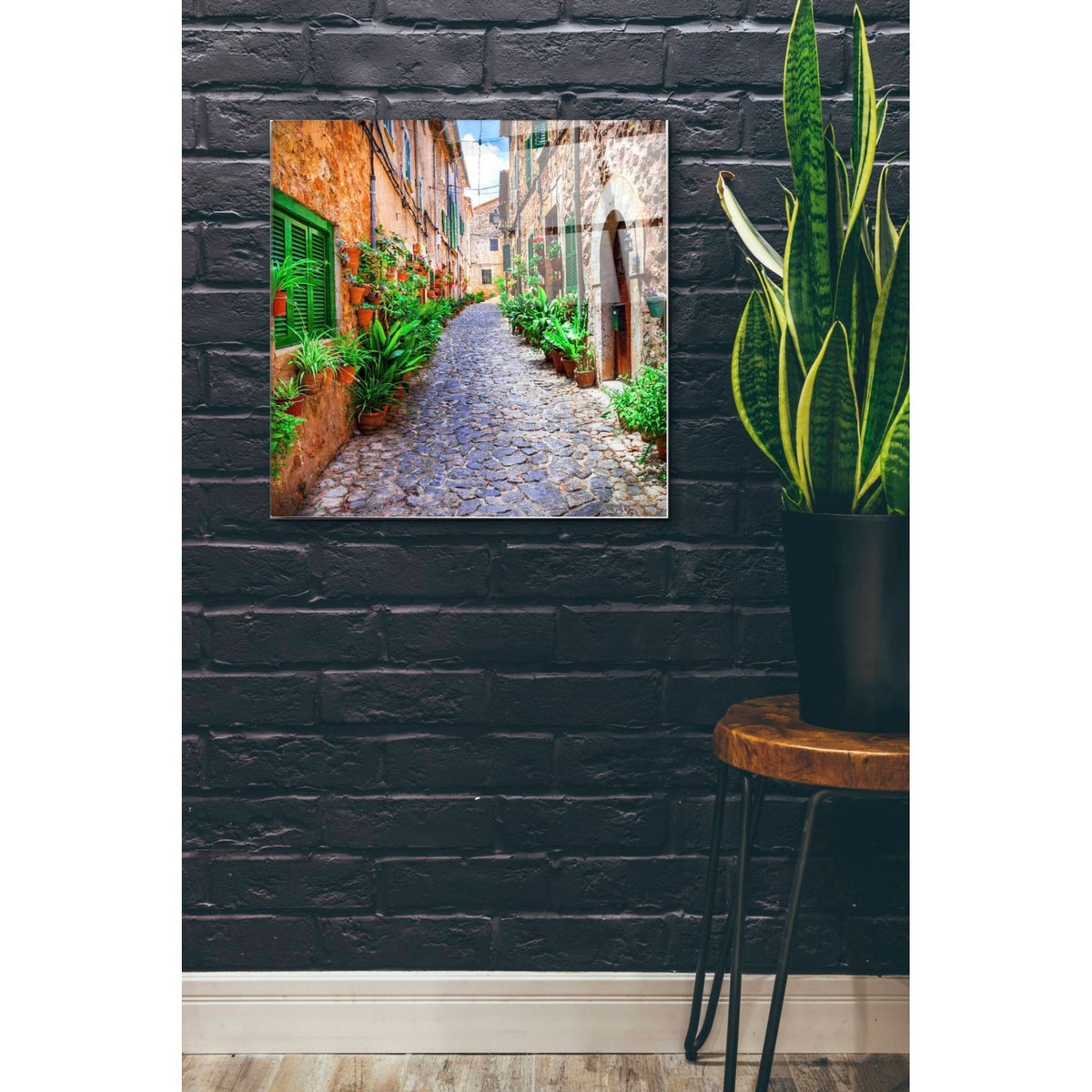 Epic Art 'Vecino I' Acrylic Glass Wall Art,24x24