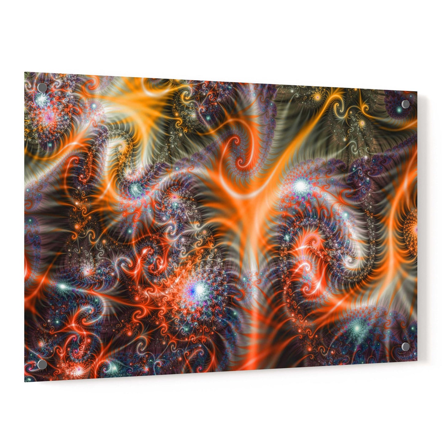 Epic Art 'Amoeba' Acrylic Glass Wall Art,24x36