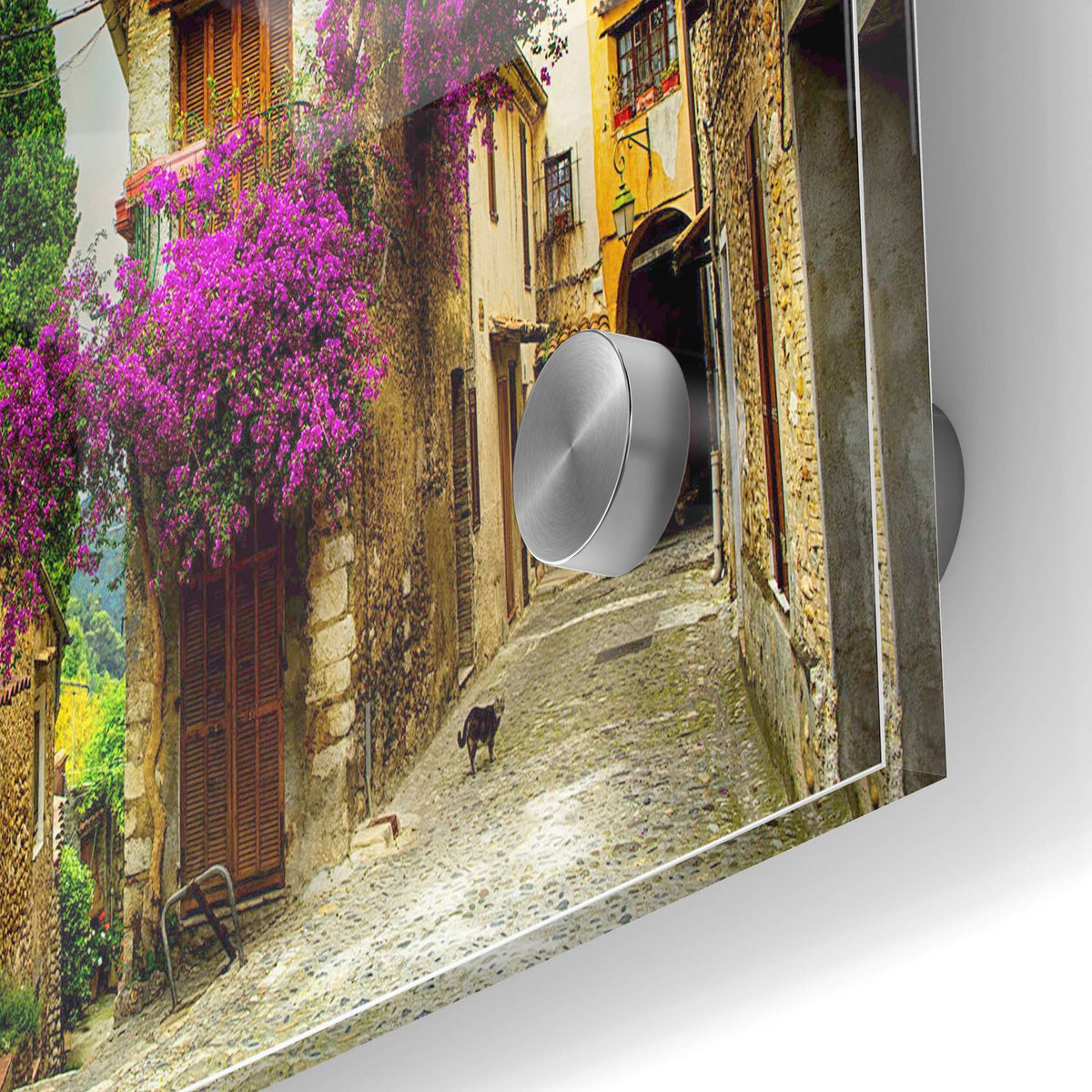 Epic Art 'Bougainvillea' Acrylic Glass Wall Art,24x36