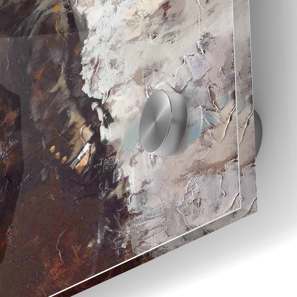 Epic Art 'Glance' by Alexander Gunin, Acrylic Glass Wall Art,24x36
