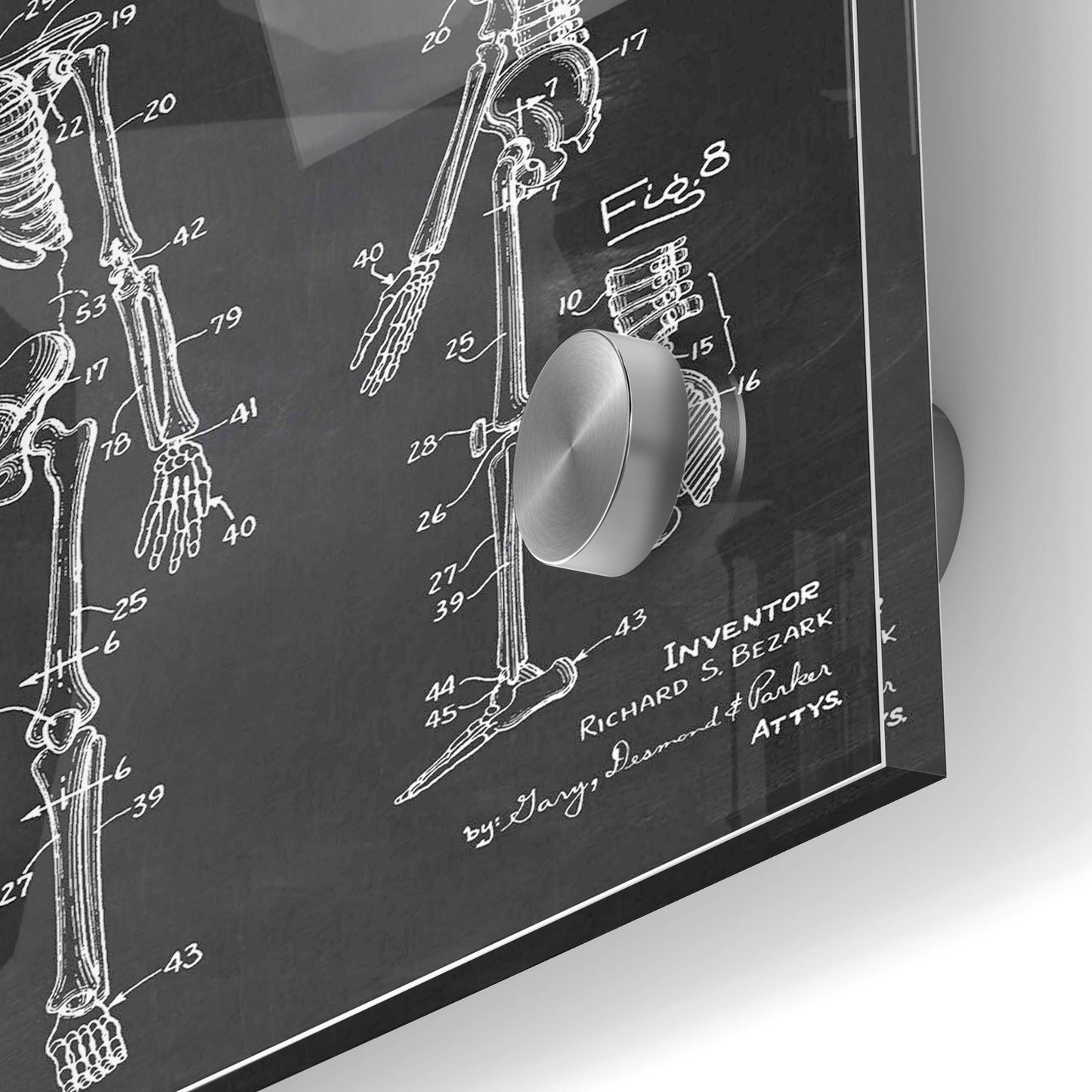 Epic Art 'Anatomical Skeleton Blueprint Patent Chalkboard' Acrylic Glass Wall Art,24x36