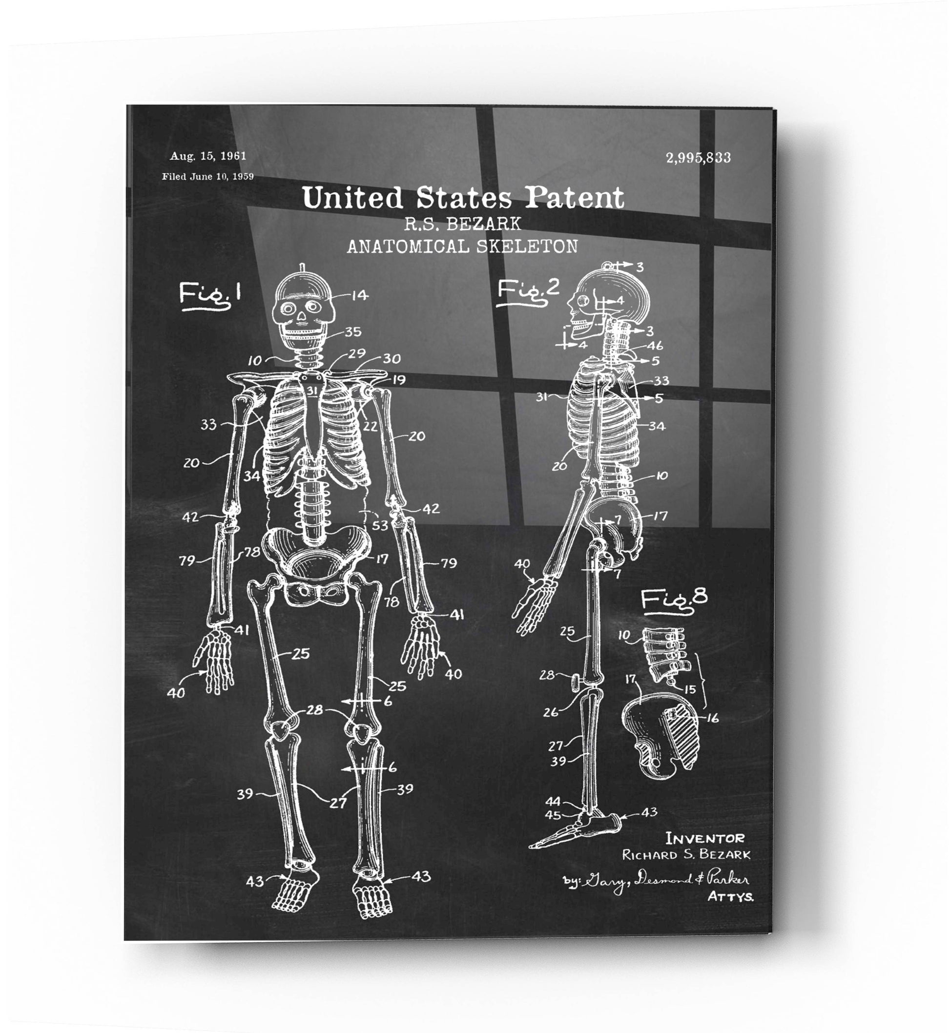 Epic Art 'Anatomical Skeleton Blueprint Patent Chalkboard' Acrylic Glass Wall Art,24x36