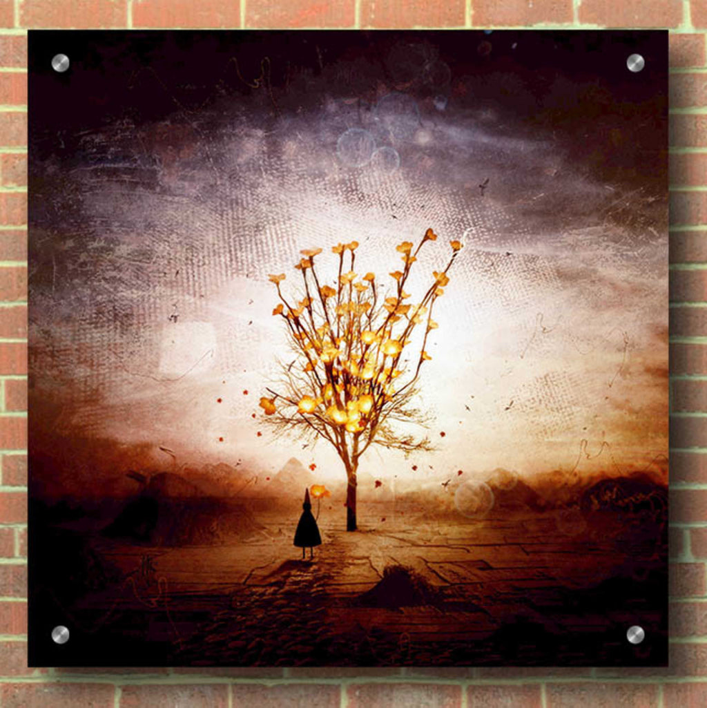 Epic Art 'Finding' by Mario Sanchez Nevado, Acrylic Glass Wall Art,36x36