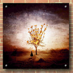 Epic Art 'Finding' by Mario Sanchez Nevado, Acrylic Glass Wall Art,36x36