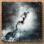 Epic Art 'Host' by Mario Sanchez Nevado, Acrylic Glass Wall Art,36x36
