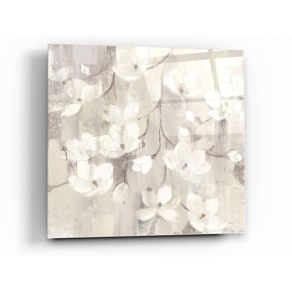 Magnolias in Spring II Neutral by Albena Hristova acrylic glass wall art