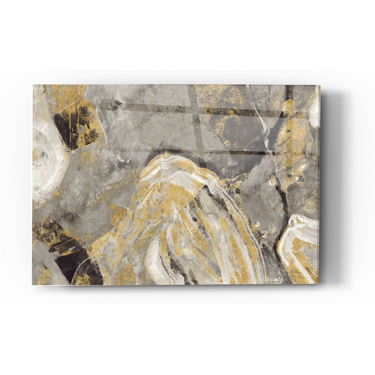 Painted Desert Phoenix Neutral by Albena Hristova acrylic glass wall art