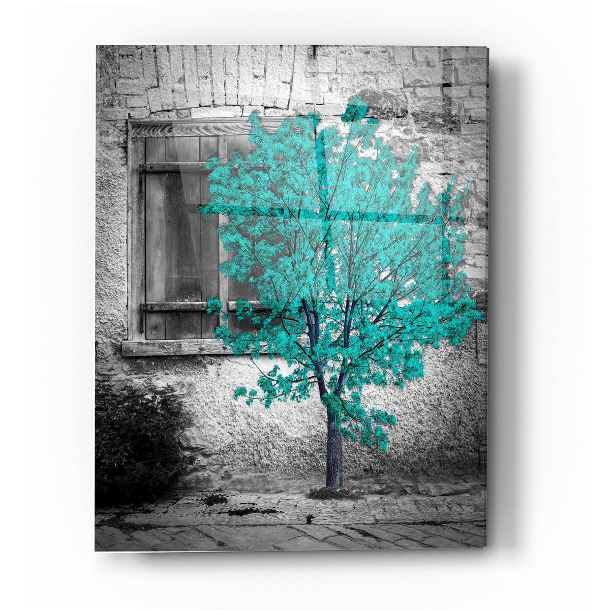 ART-Bess-1747 by Bess Hamiti acrylic glass wall art