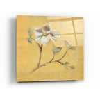 Dogwood Blossom on Gold by Cheri Blum acrylic glass wall art