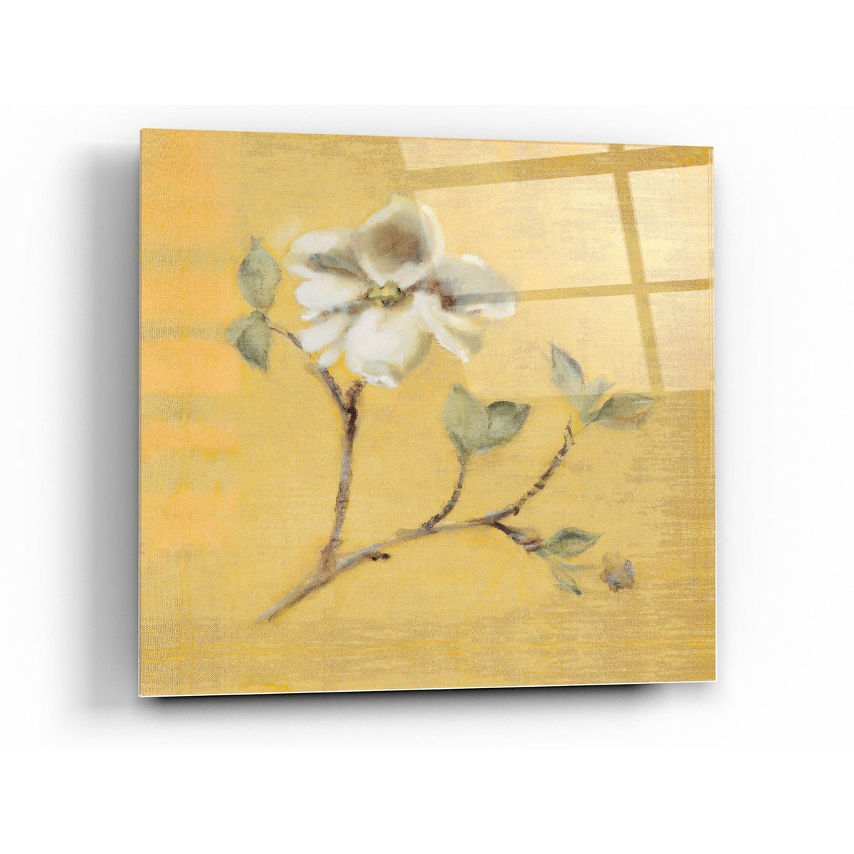 Dogwood Blossom on Gold by Cheri Blum acrylic glass wall art