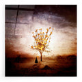 Epic Art 'Finding' by Mario Sanchez Nevado, Acrylic Glass Wall Art