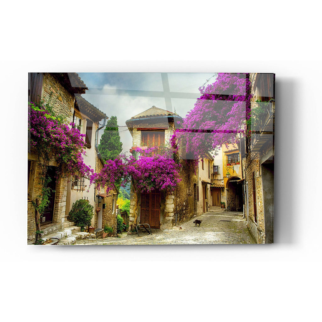 Epic Art 'Bougainvillea' Acrylic Glass Wall Art