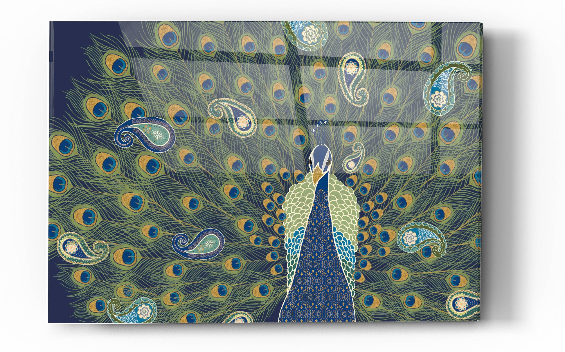 Epic Art 'Peacock Paradise VI' by Veronique Charron, Acrylic Glass Wall Art