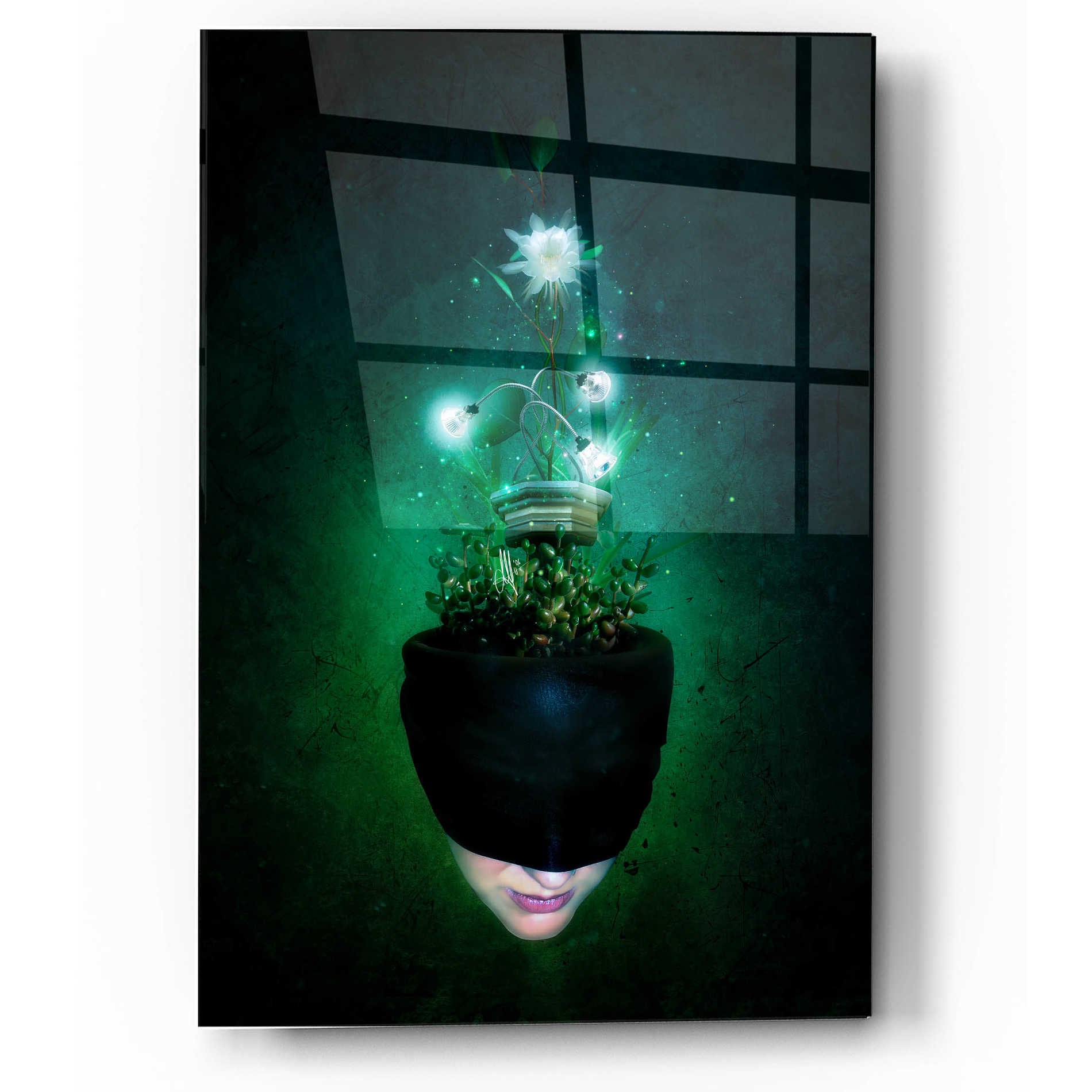 Epic Art 'Herbal Movement I' by Mario Sanchez Nevado, Acrylic Glass Wall Art,12x16
