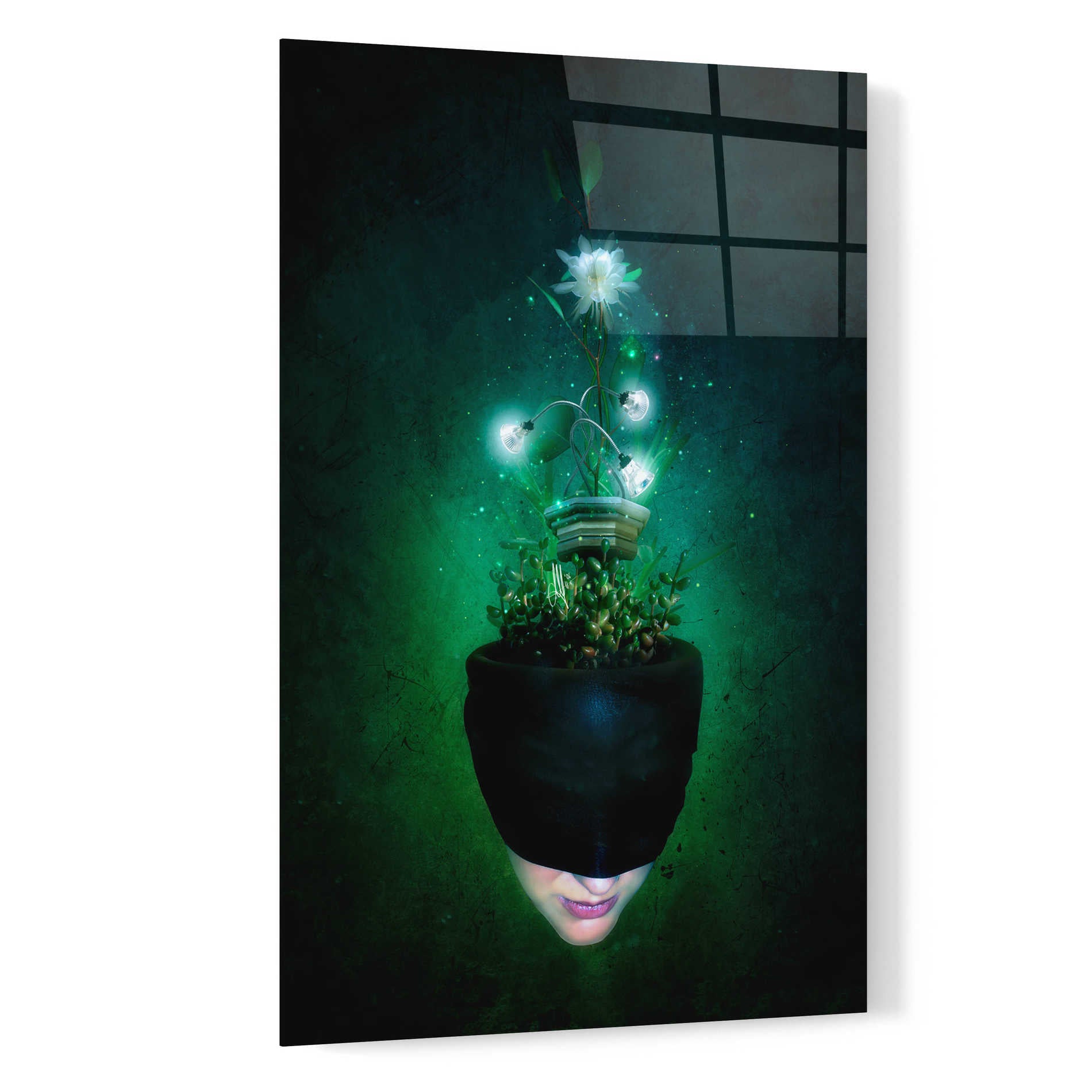 Epic Art 'Herbal Movement I' by Mario Sanchez Nevado, Acrylic Glass Wall Art,16x24