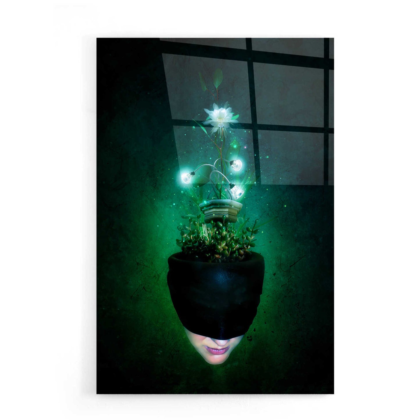 Epic Art 'Herbal Movement I' by Mario Sanchez Nevado, Acrylic Glass Wall Art,16x24