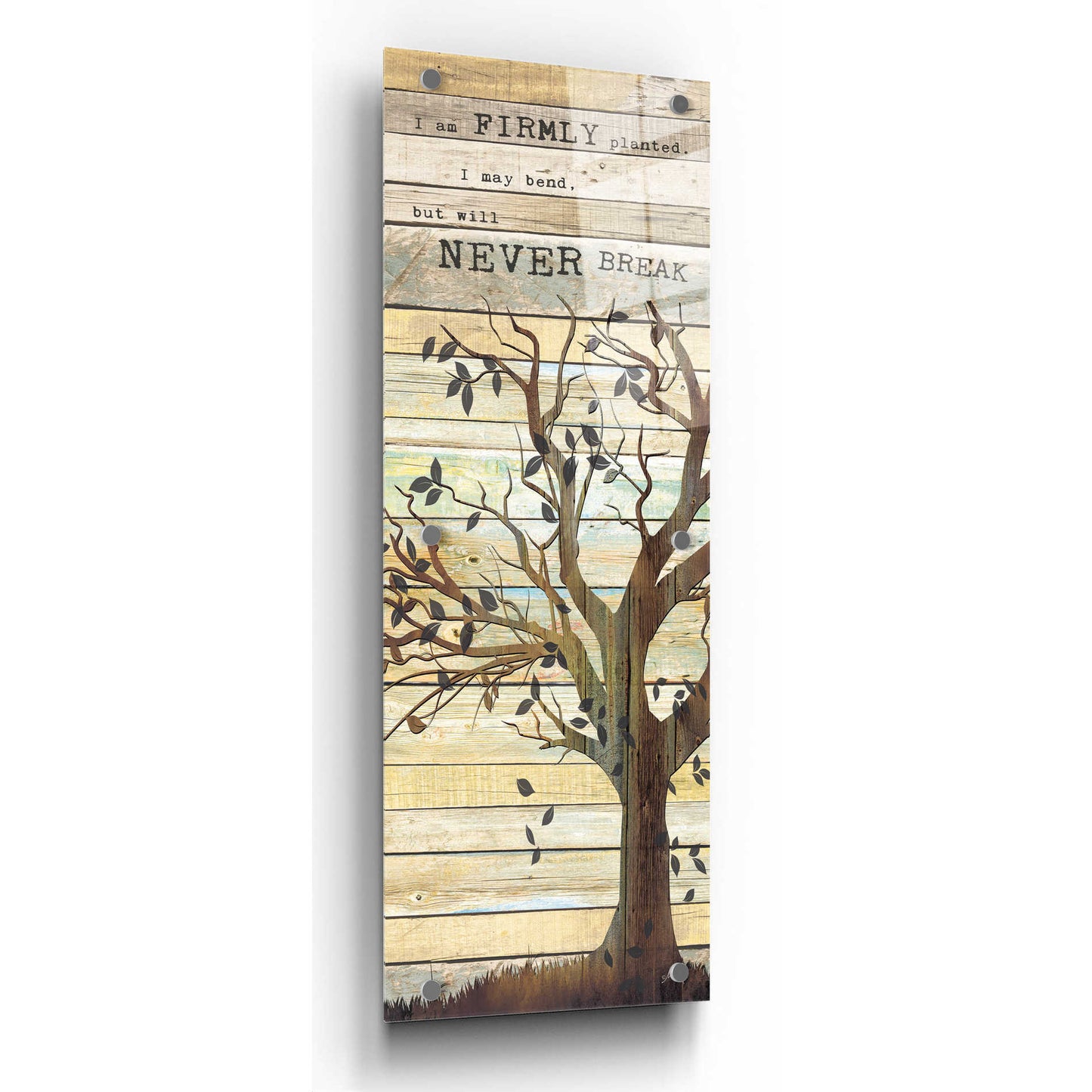 Epic Art 'I Am Firmly Planted' by Marla Rae, Acrylic Glass Wall Art,12x36