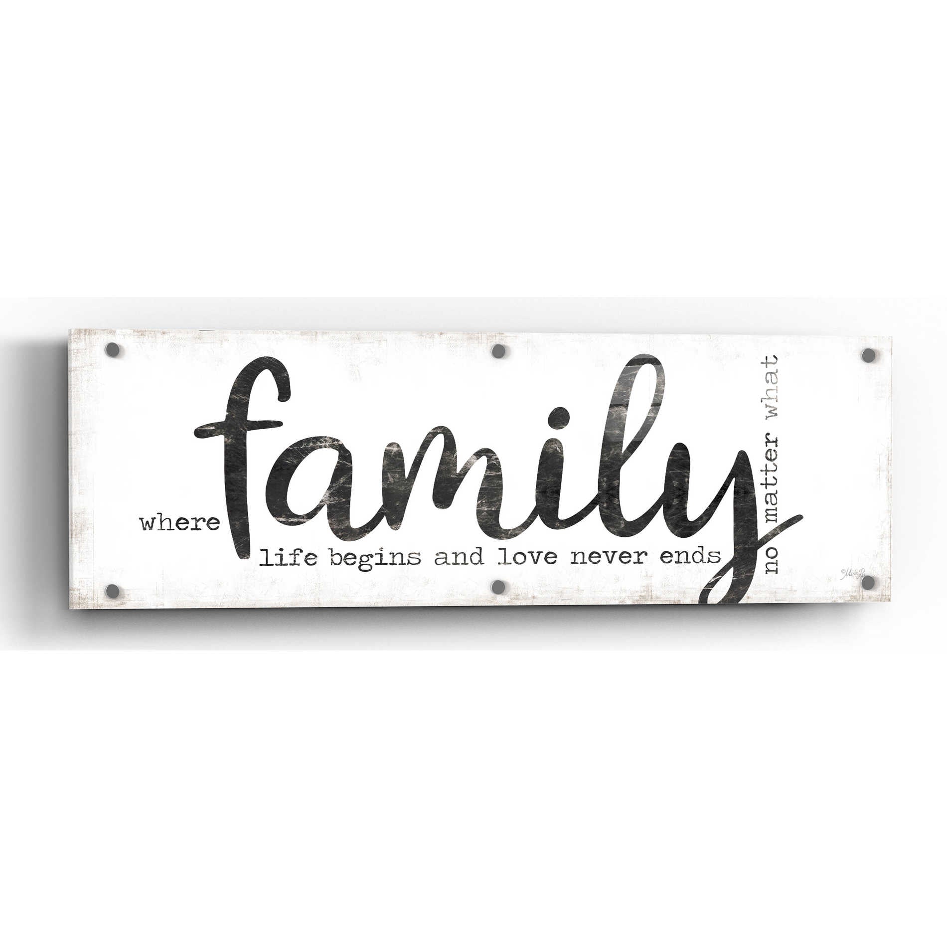 Epic Art 'Family Where Life Begins' by Marla Rae, Acrylic Glass Wall Art,36x12