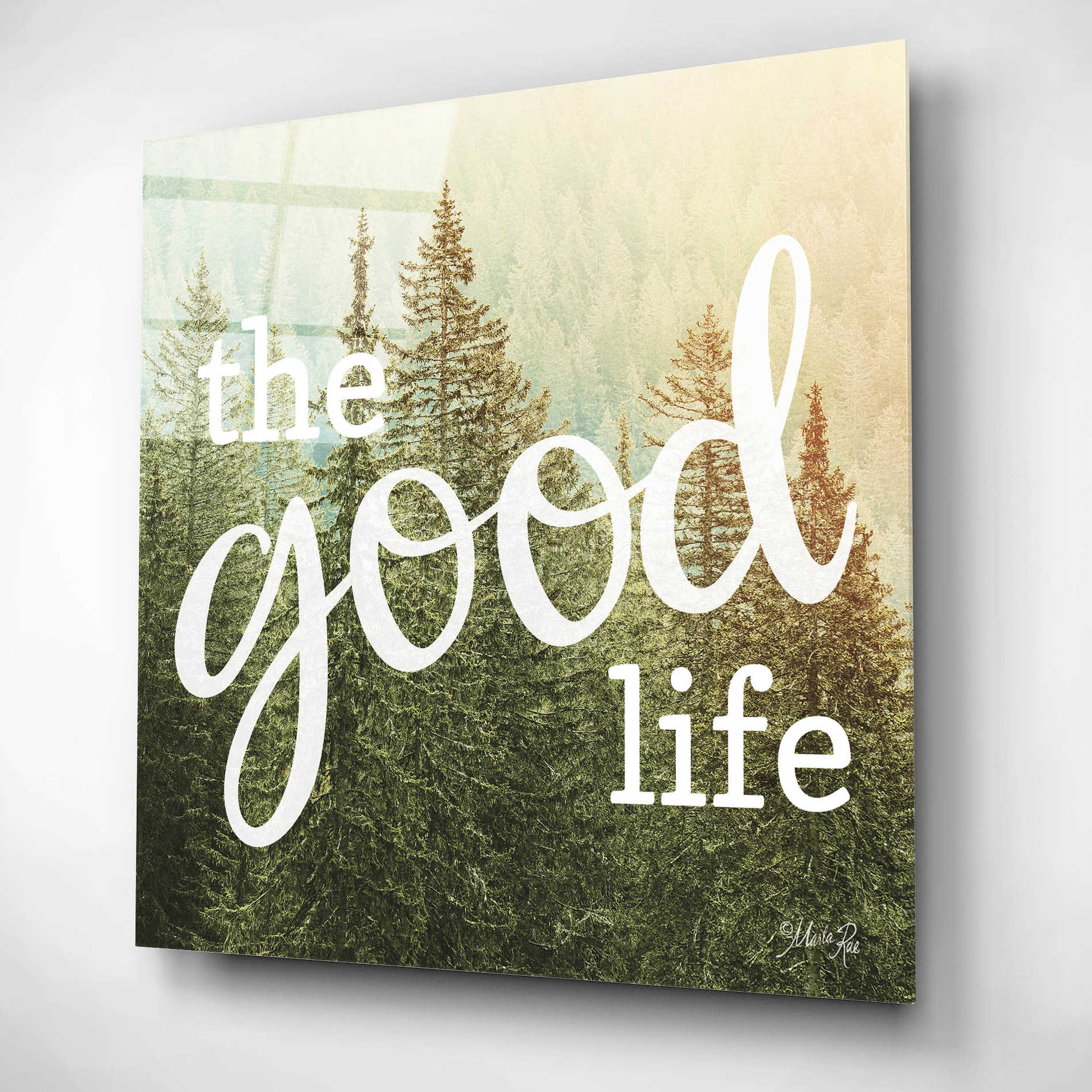 Epic Art 'The Good Life' by Marla Rae, Acrylic Glass Wall Art,12x12