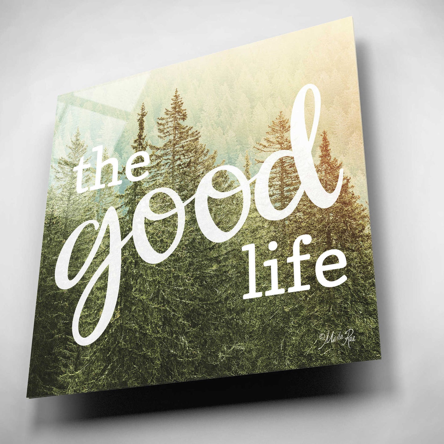 Epic Art 'The Good Life' by Marla Rae, Acrylic Glass Wall Art,12x12