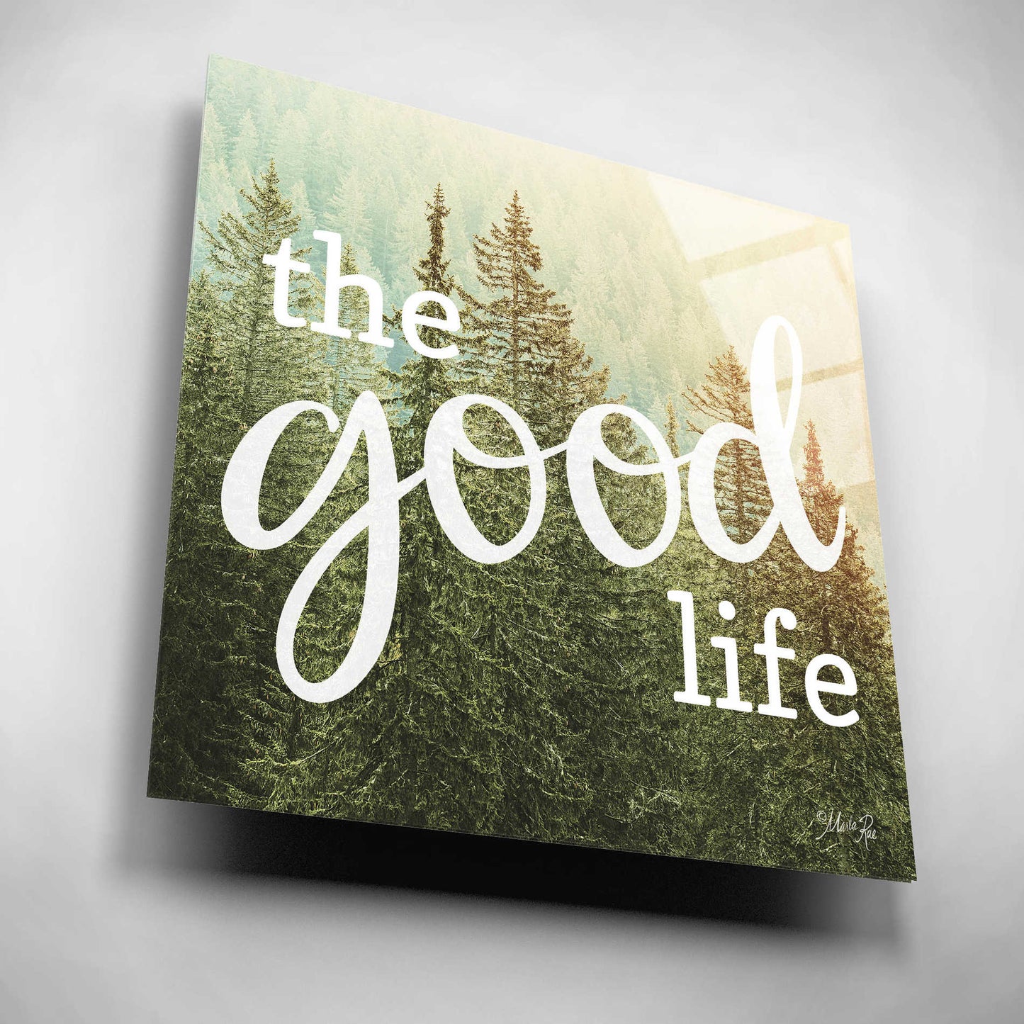 Epic Art 'The Good Life' by Marla Rae, Acrylic Glass Wall Art,12x12