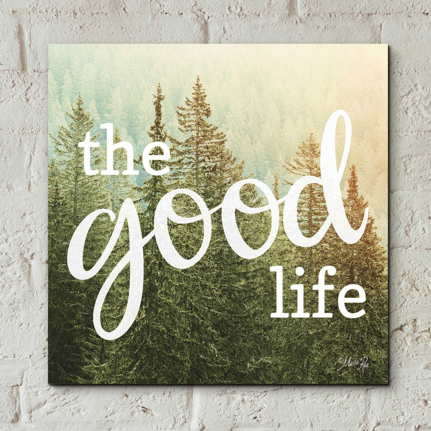 Epic Art 'The Good Life' by Marla Rae, Acrylic Glass Wall Art,12x12