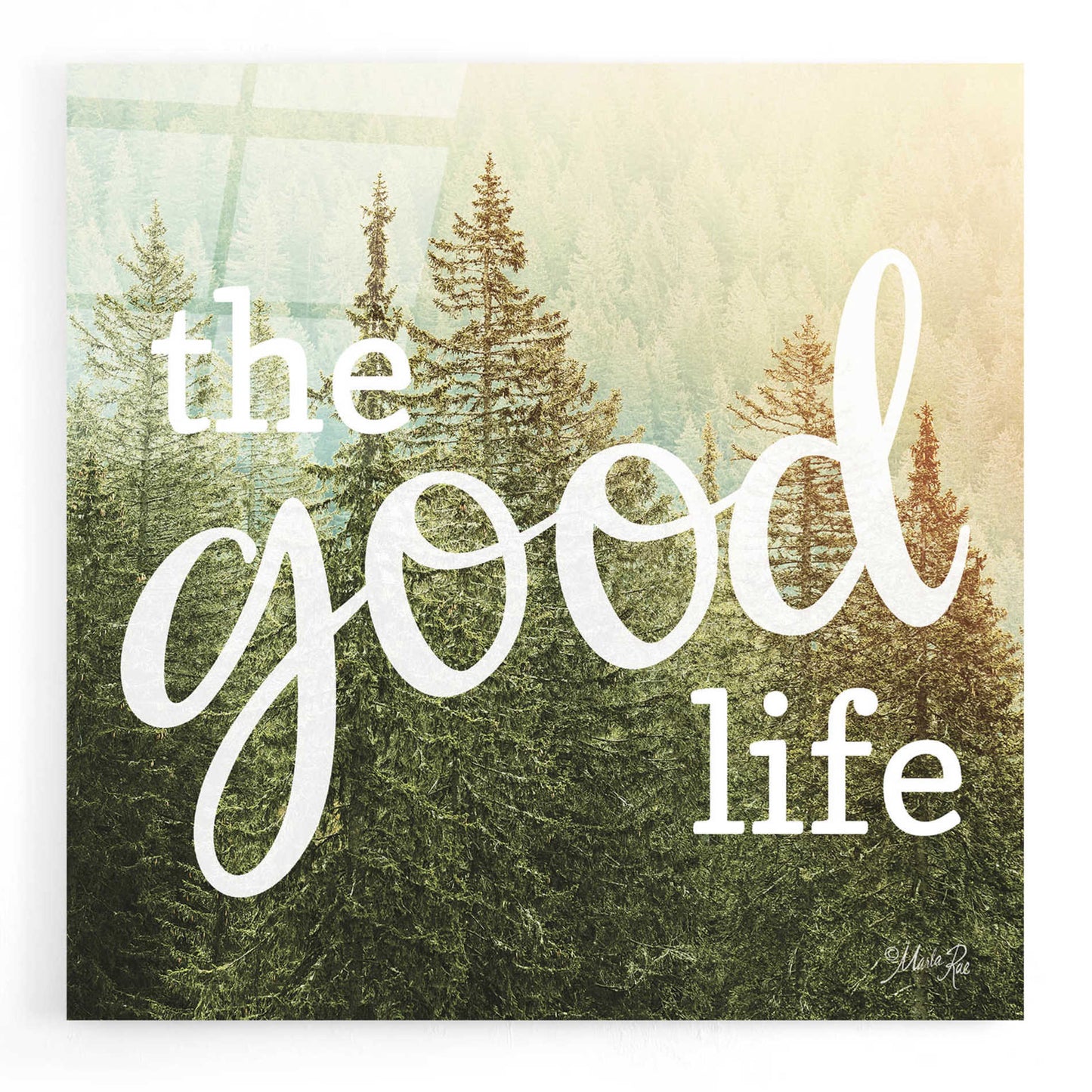 Epic Art 'The Good Life' by Marla Rae, Acrylic Glass Wall Art,12x12