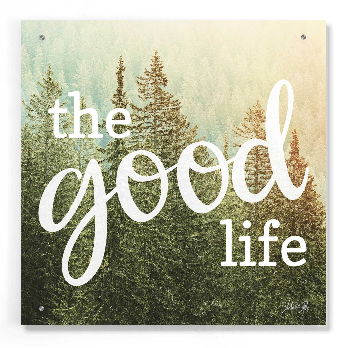 Epic Art 'The Good Life' by Marla Rae, Acrylic Glass Wall Art,24x24