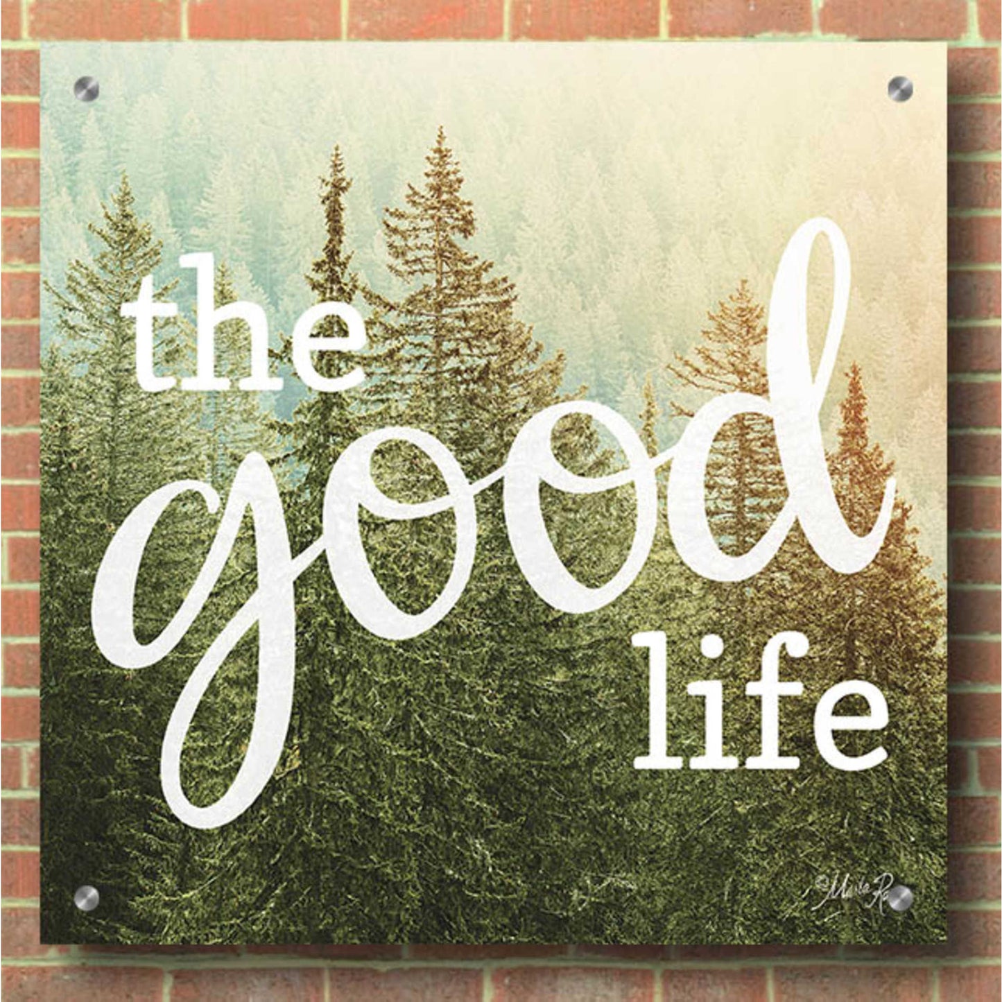 Epic Art 'The Good Life' by Marla Rae, Acrylic Glass Wall Art,36x36