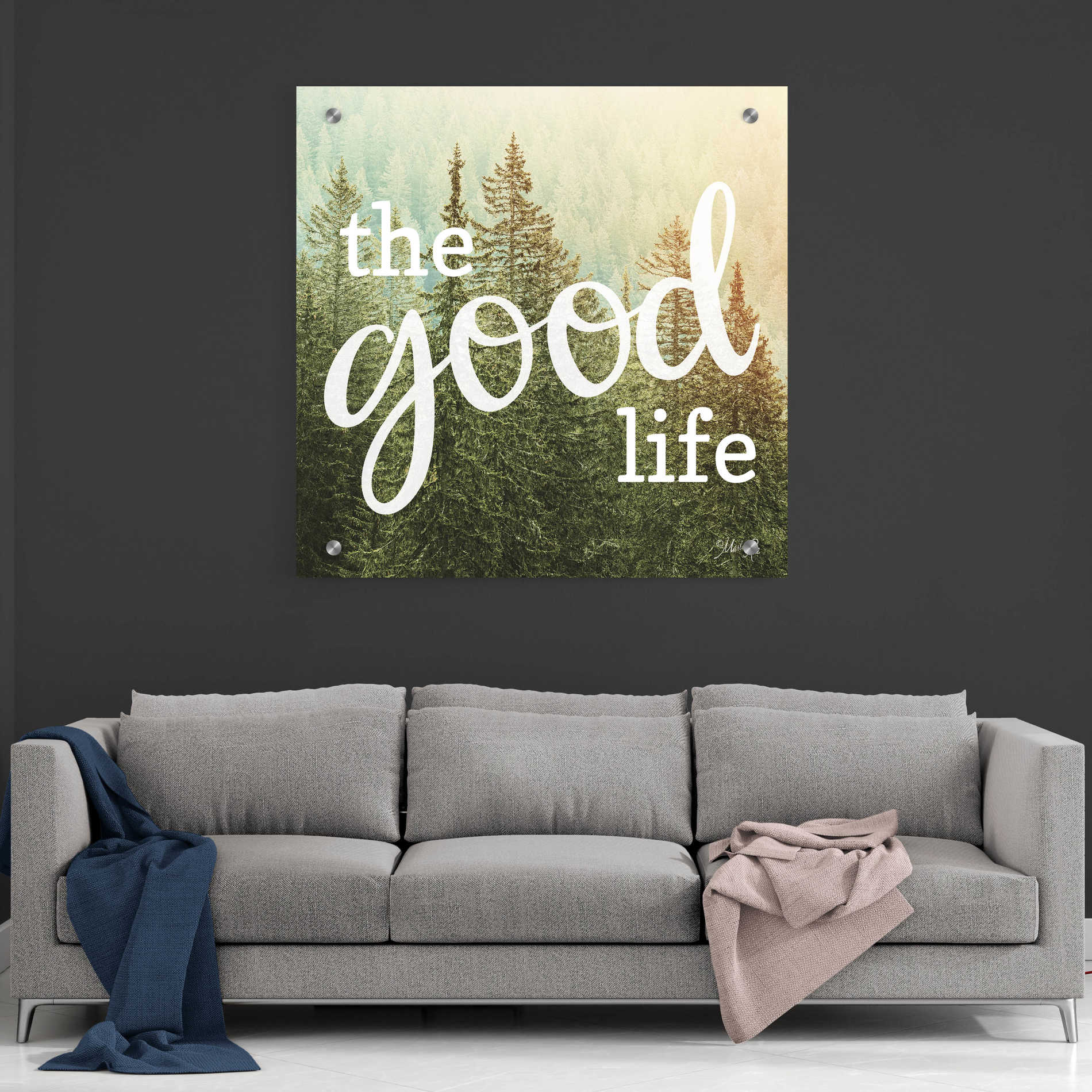 Epic Art 'The Good Life' by Marla Rae, Acrylic Glass Wall Art,36x36