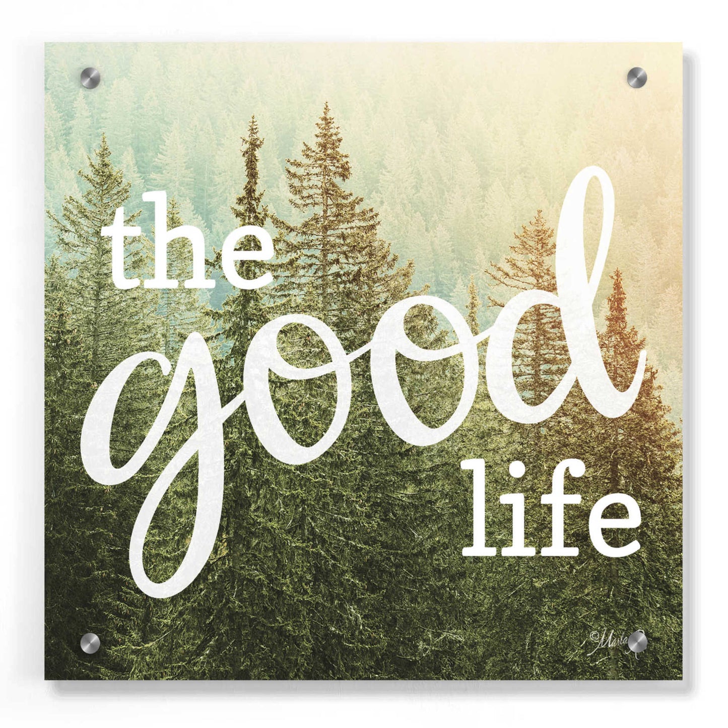 Epic Art 'The Good Life' by Marla Rae, Acrylic Glass Wall Art,36x36