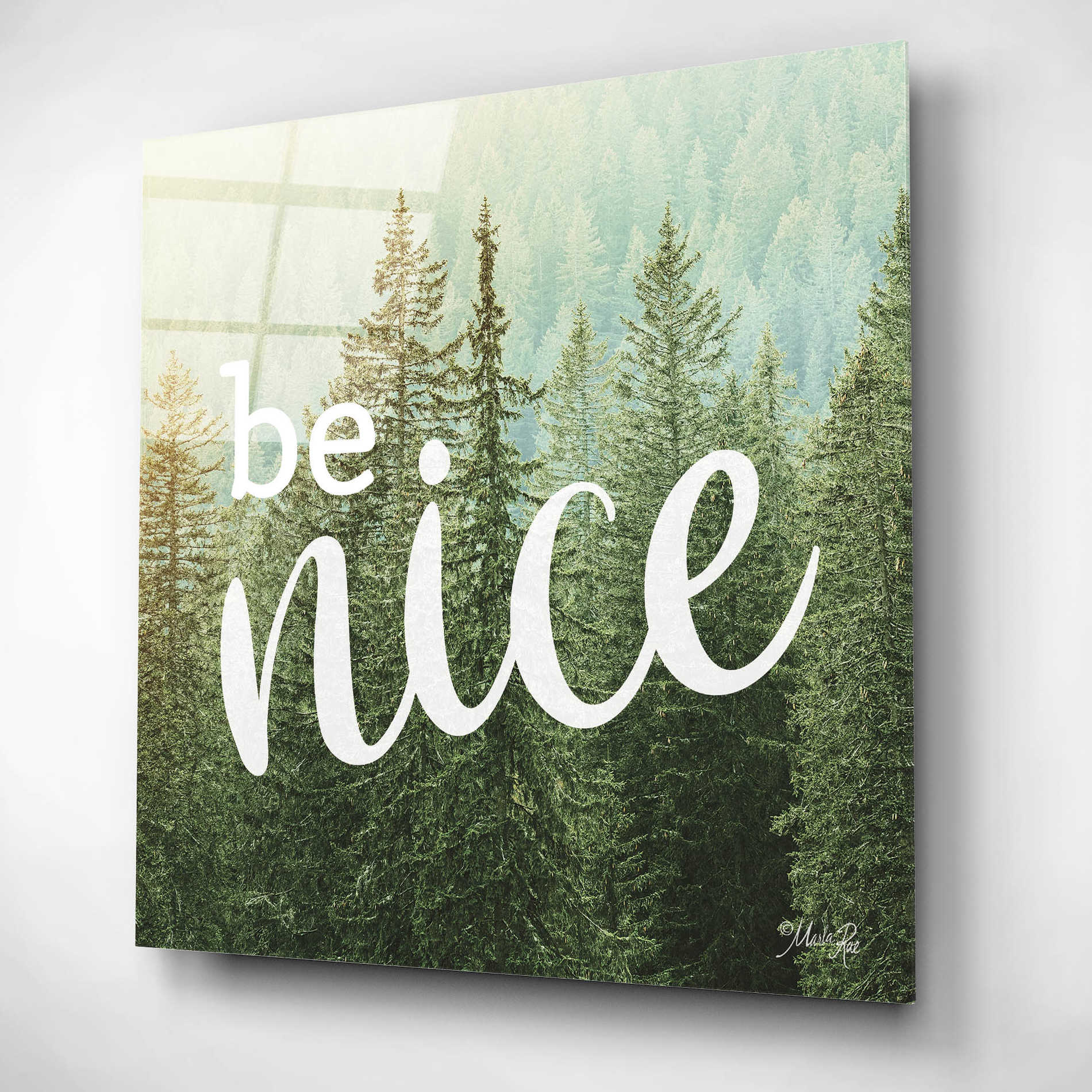 Epic Art 'Be Nice' by Marla Rae, Acrylic Glass Wall Art,12x12