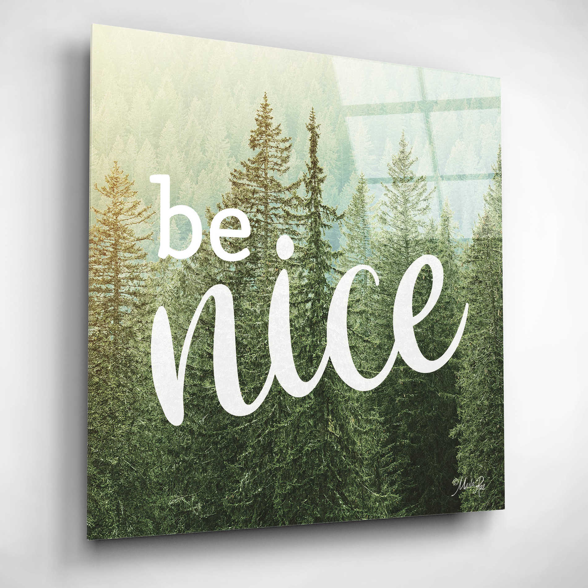 Epic Art 'Be Nice' by Marla Rae, Acrylic Glass Wall Art,12x12