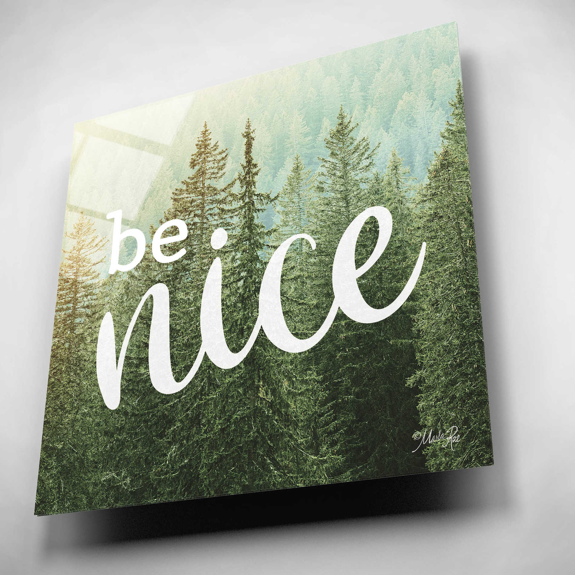 Epic Art 'Be Nice' by Marla Rae, Acrylic Glass Wall Art,12x12