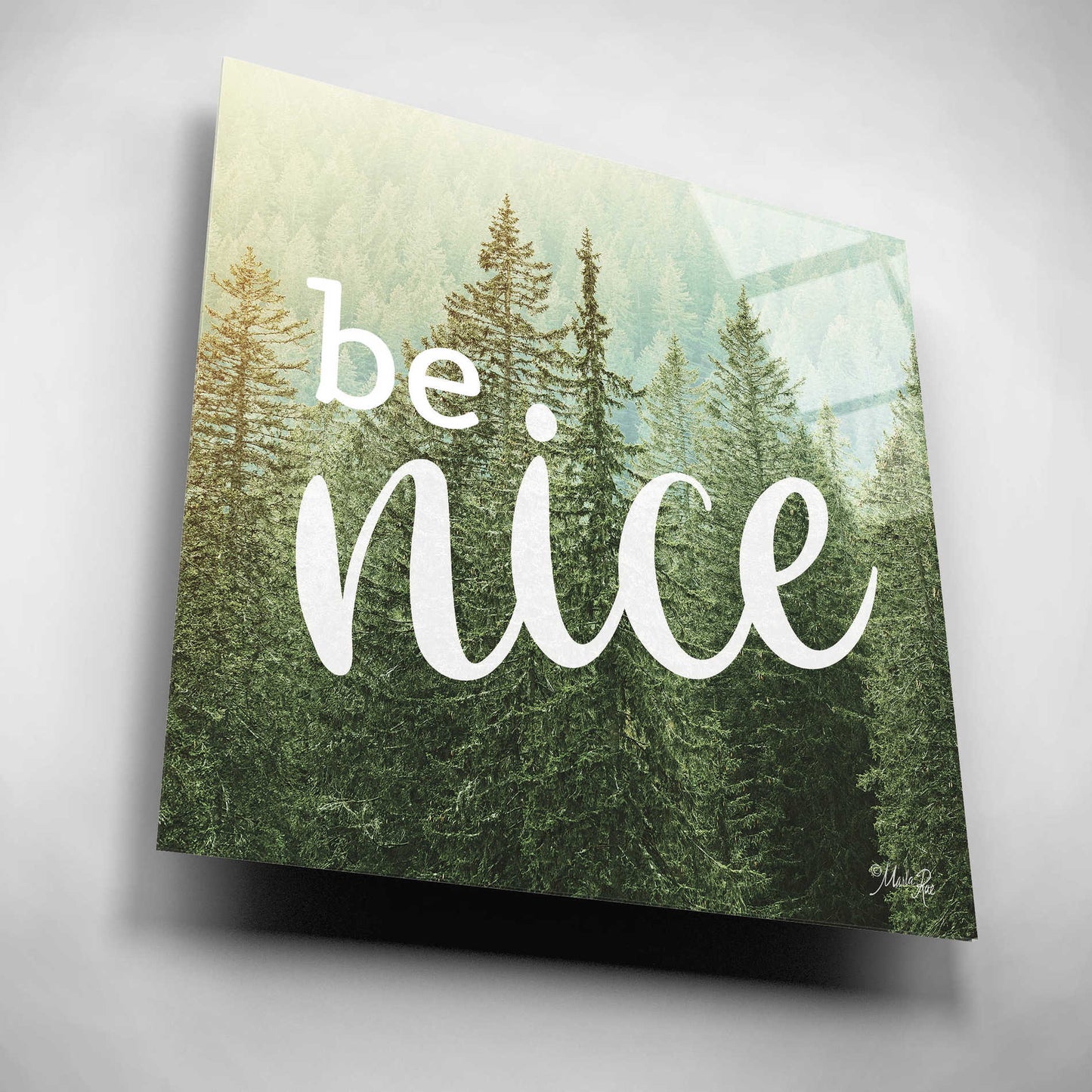 Epic Art 'Be Nice' by Marla Rae, Acrylic Glass Wall Art,12x12