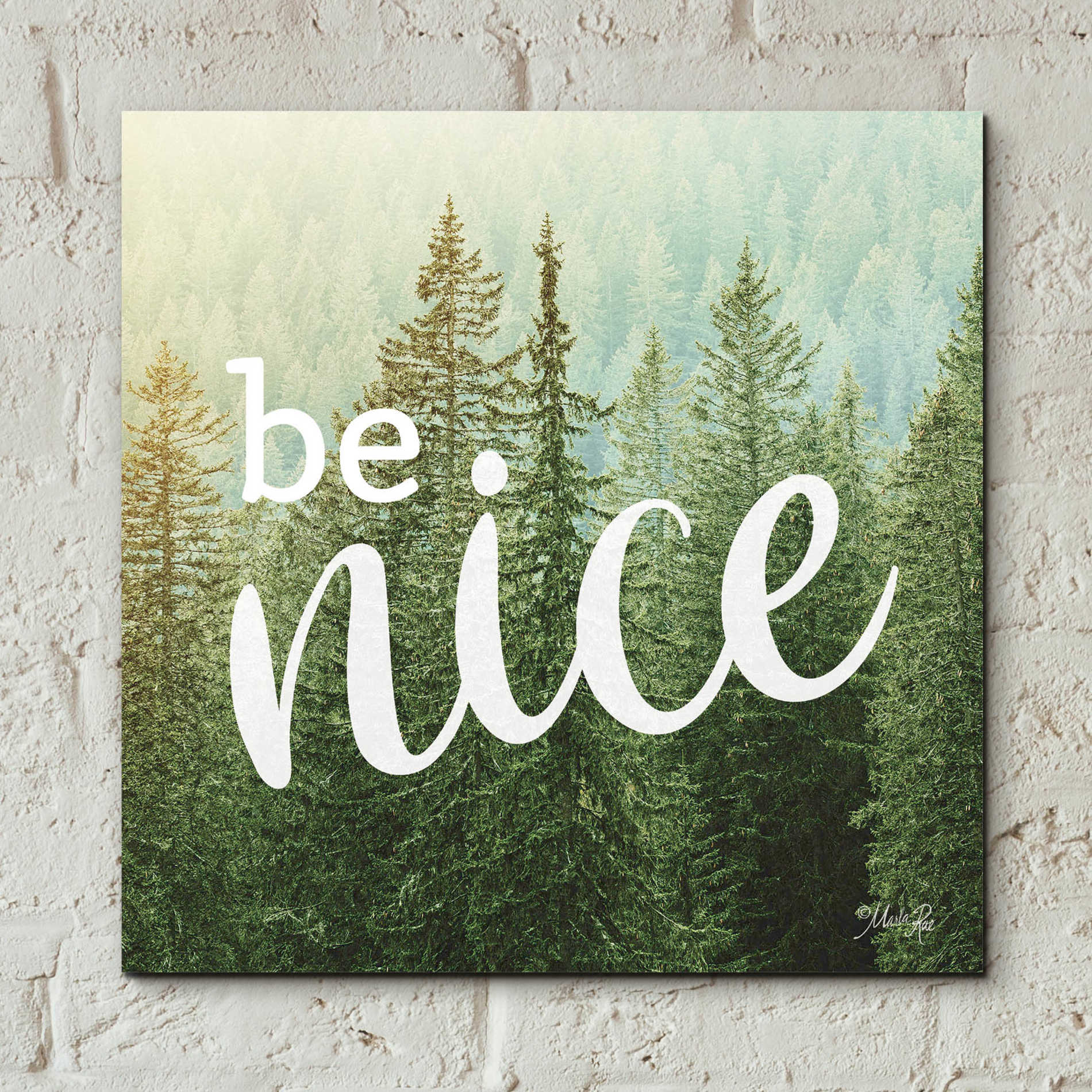 Epic Art 'Be Nice' by Marla Rae, Acrylic Glass Wall Art,12x12