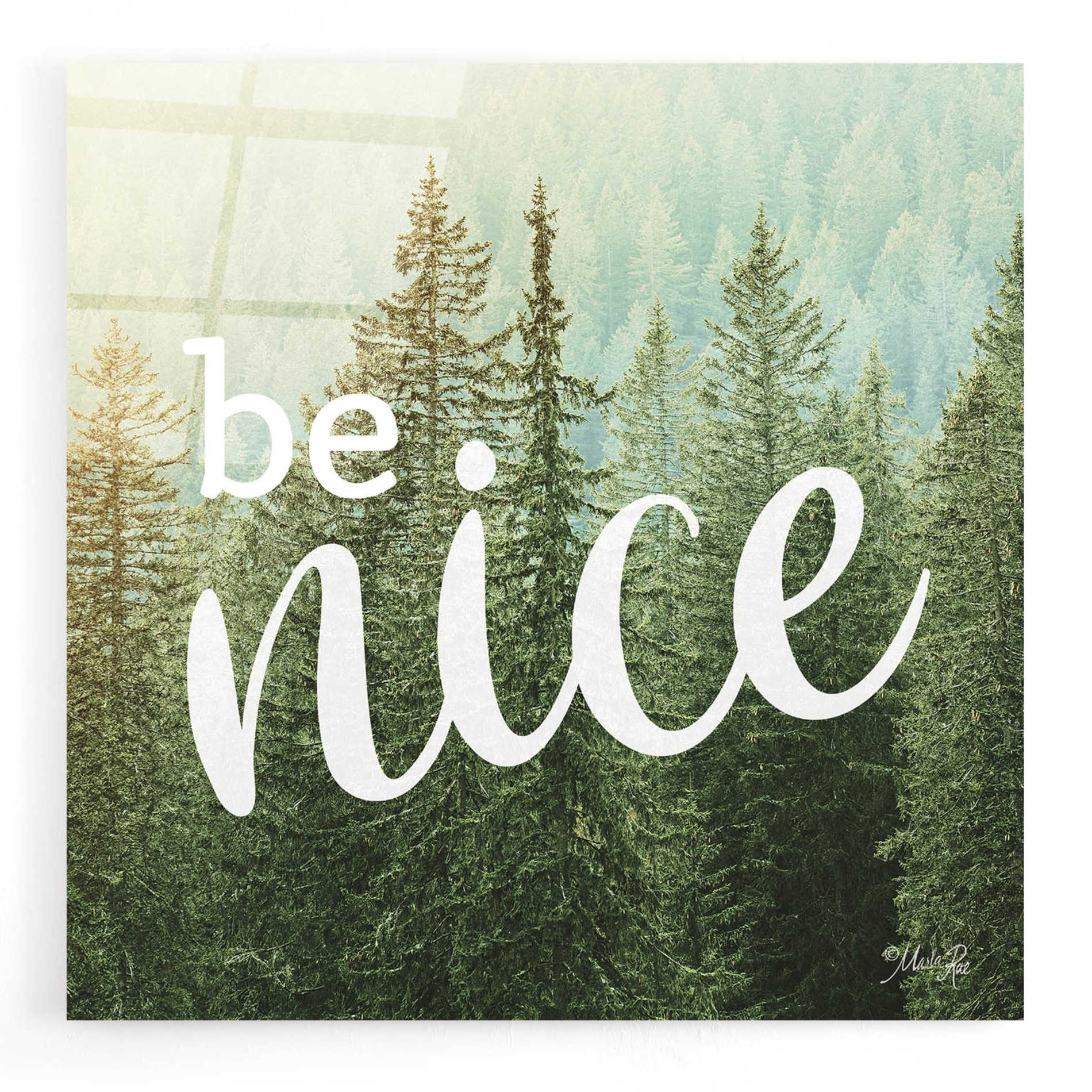 Epic Art 'Be Nice' by Marla Rae, Acrylic Glass Wall Art,12x12