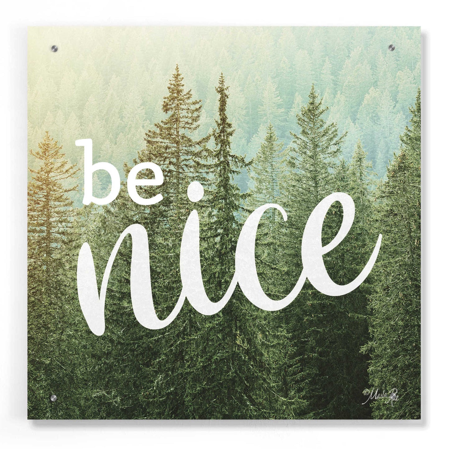 Epic Art 'Be Nice' by Marla Rae, Acrylic Glass Wall Art,24x24