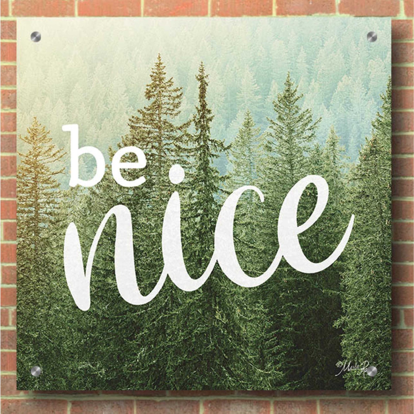 Epic Art 'Be Nice' by Marla Rae, Acrylic Glass Wall Art,36x36