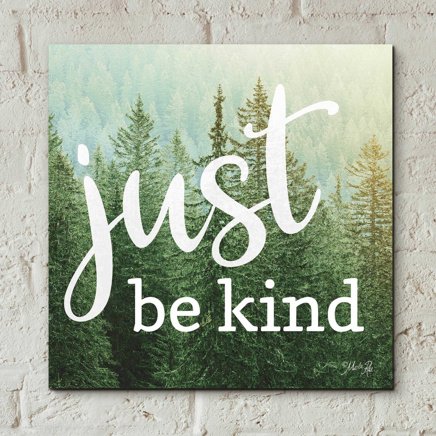 Epic Art 'Just Be Kind' by Marla Rae, Acrylic Glass Wall Art,12x12