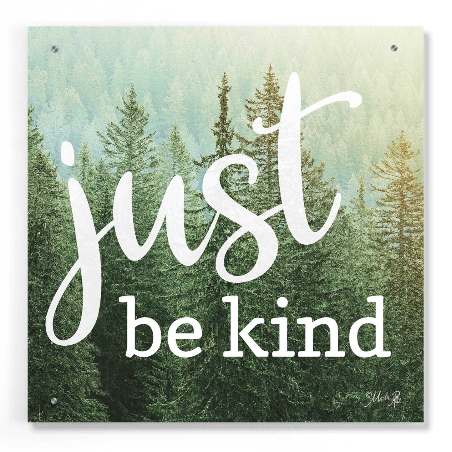 Epic Art 'Just Be Kind' by Marla Rae, Acrylic Glass Wall Art,24x24