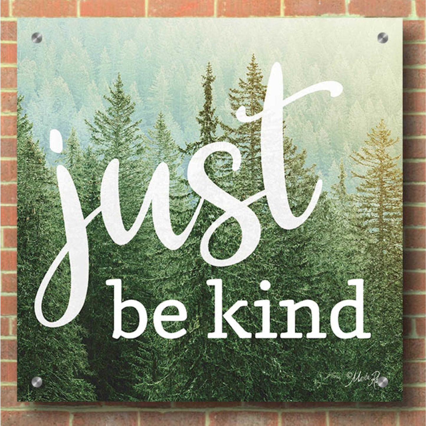 Epic Art 'Just Be Kind' by Marla Rae, Acrylic Glass Wall Art,36x36