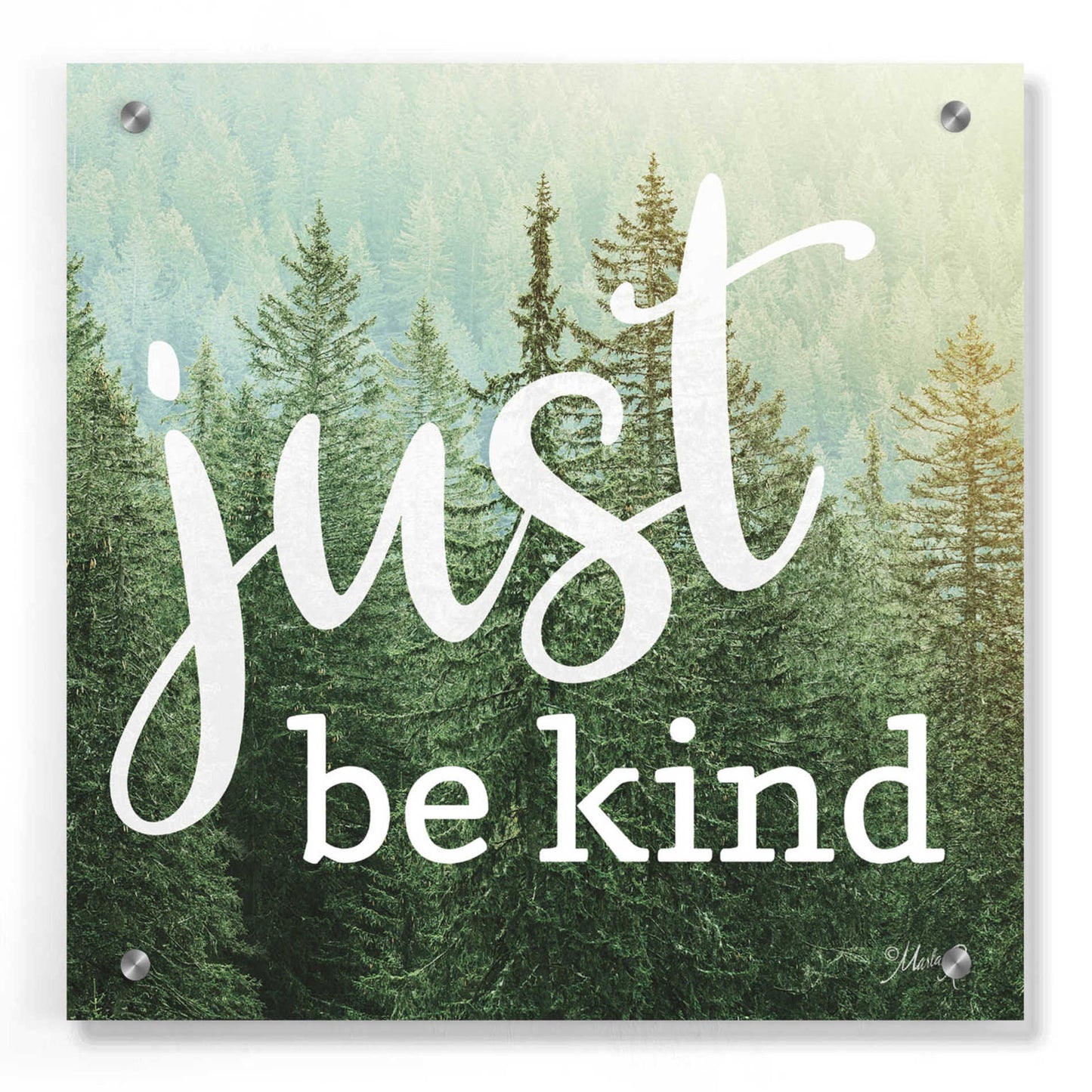 Epic Art 'Just Be Kind' by Marla Rae, Acrylic Glass Wall Art,36x36