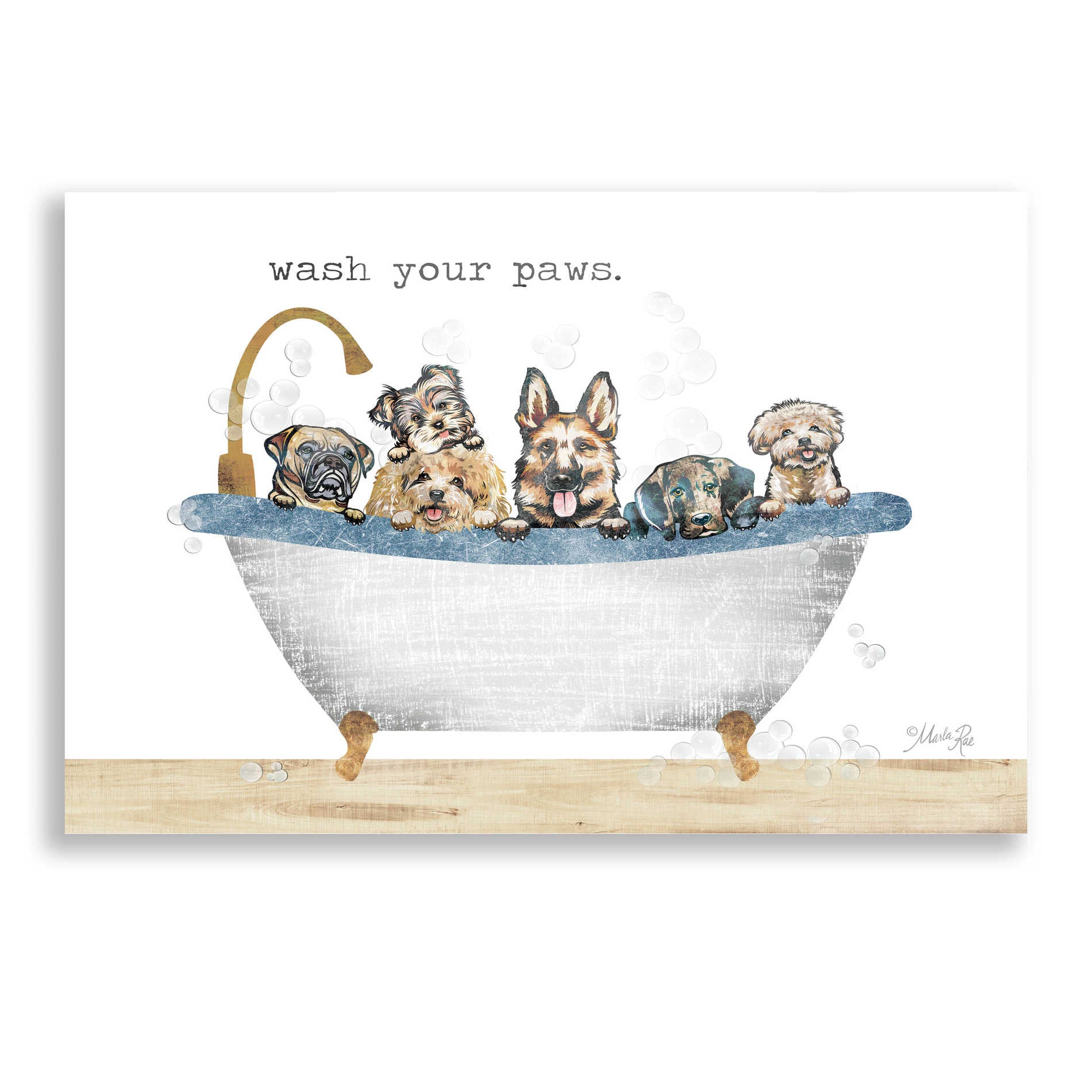 Epic Art 'Wash Your Paws' by Marla Rae, Acrylic Glass Wall Art,16x12