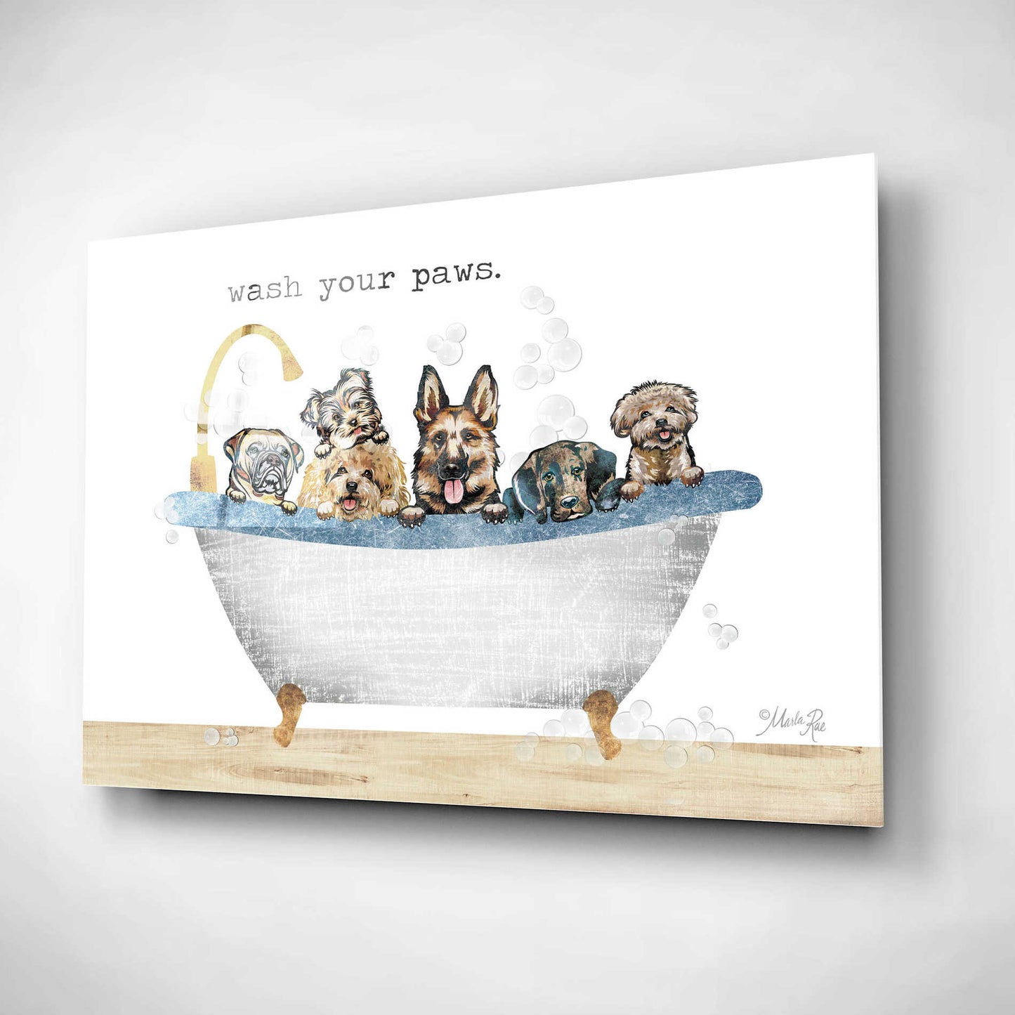 Epic Art 'Wash Your Paws' by Marla Rae, Acrylic Glass Wall Art,24x16