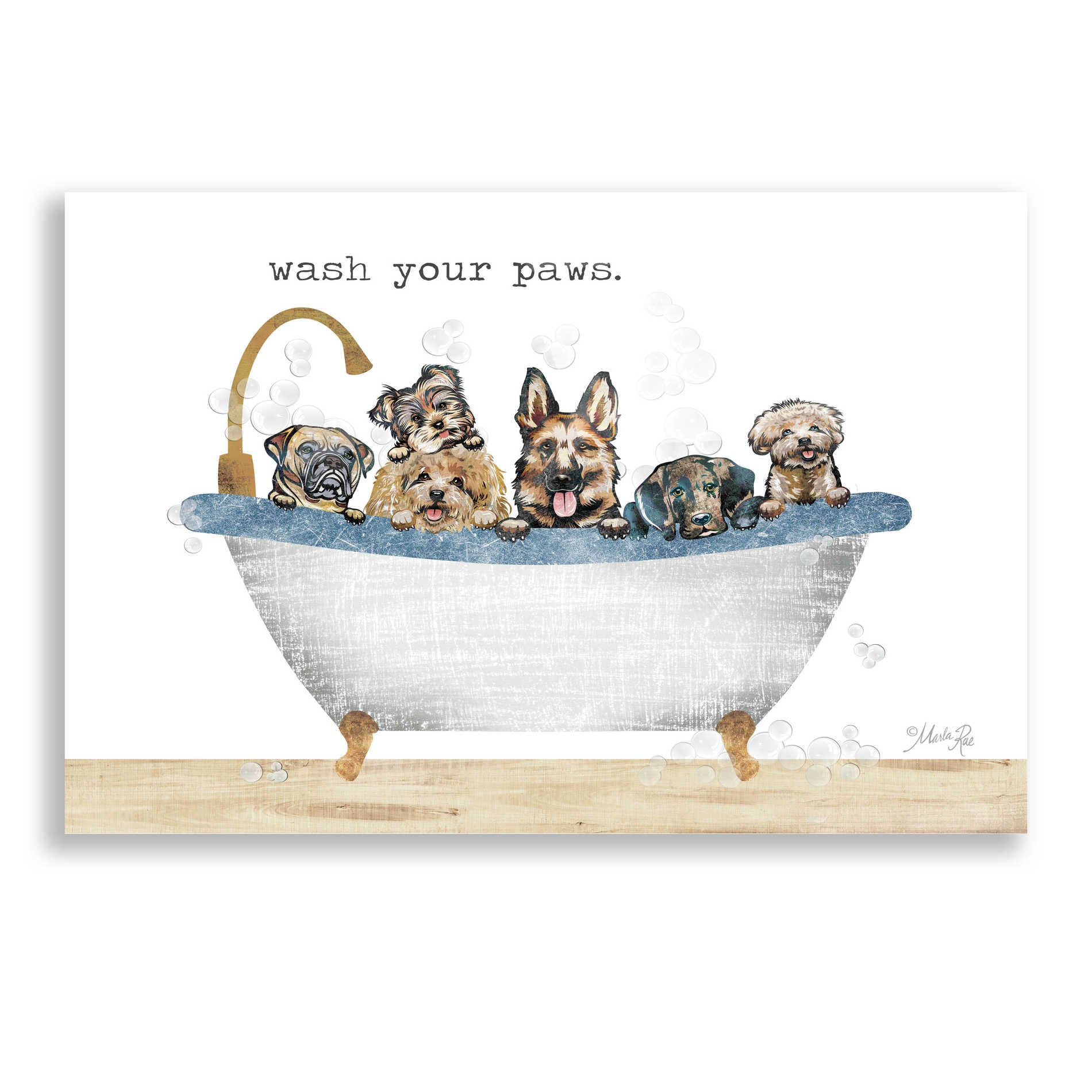 Epic Art 'Wash Your Paws' by Marla Rae, Acrylic Glass Wall Art,24x16