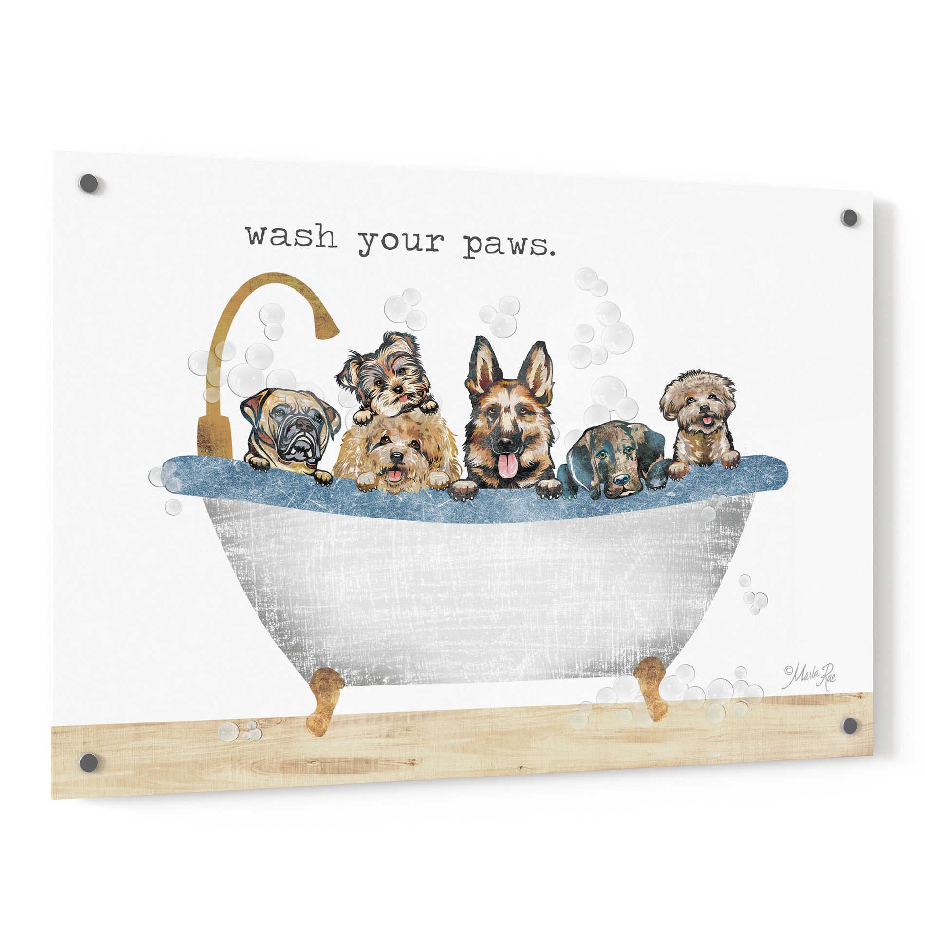 Epic Art 'Wash Your Paws' by Marla Rae, Acrylic Glass Wall Art,36x24