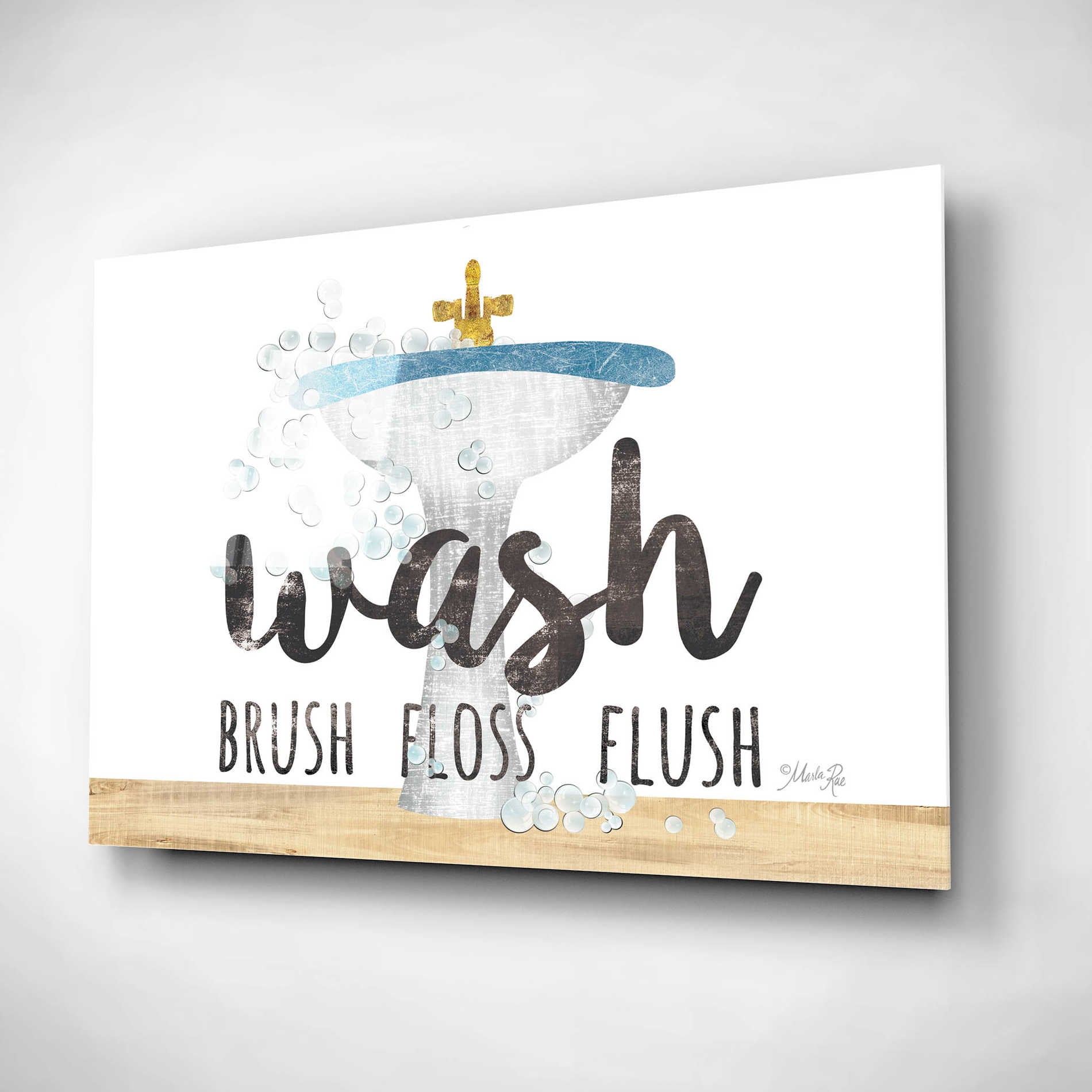 Epic Art 'Wash - Brush - Floss - Flush' by Marla Rae, Acrylic Glass Wall Art,24x16